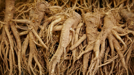 Wall Mural - Various grain herbal medicinal herbs in the traditional market