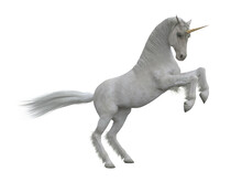 White Unicorn Rearing Up On Hind Legs. Fairytale Creature 3d Illustration Isolated On White Background.