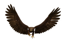 Golden Eagle Landing With Wings Up, 3D Illustration Isolated On White Background.