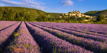 The Village Of Banon In Provence With Lavender Fields At Sunrise In Summer. Alpes-de-Haute-Provence, French Alps, France