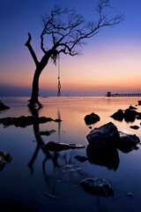 Wall Mural - silhouette on the beach