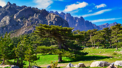 Aiguilles de Bavella