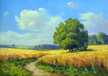 Landscape With Field And Blue Sky