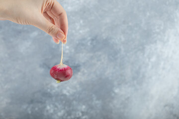 Female hand holding ripe radish on air