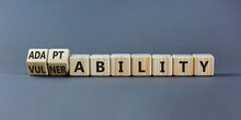 Vulnerability Or Adaptability Symbol. Turned Wooden Cubes And Changed Words 'vulnerability' To 'adaptability'. Grey Background, Copy Space. Business, Vulnerability Or Adaptability Concept.