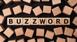 © MP Studio - Word BUZZWORD made with wood building blocks