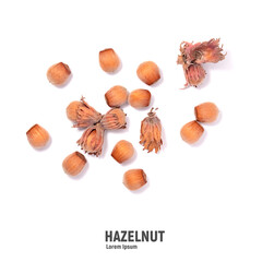 Wall Mural - Closeup of hazelnuts, isolated on the white background.