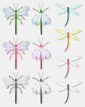 Set With Water Striders And Dragonflies. Colored And Monochrome Insects Isolated On Light Background