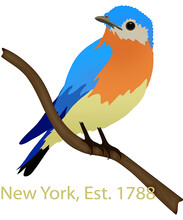 New York State Bird Eastern Bluebird Illustration With Clipping Path Isolated On White