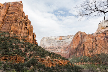 Wall Mural - Cloudy day in Zion National Park, Utah