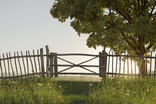 3d Rendering Of Wooden Fence And Green Meadow Next To A Maple Tree