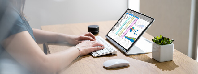Poster - Woman Using Finance Spreadsheet Report