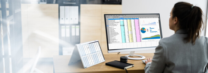 Poster - Woman Using Finance Spreadsheet Report