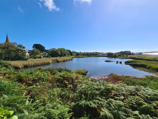 Wall Mural - Guernsey Channel Islands, Vale Pond