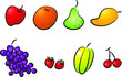 vector drawing cartoon fruits apple pear orange starfruit strawberry grapes mango series