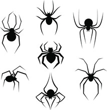 Spider Icons Vector Set / Black Silhouette Spider / Halloween