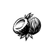 coconut retro silhouette illustration