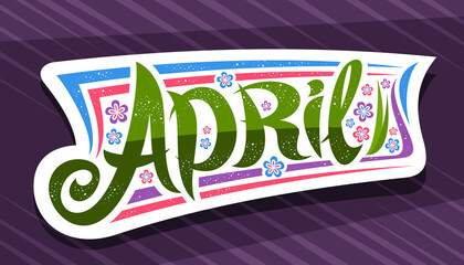Wall Mural - Vector banner for April, white badge with curly calligraphic font, decorative stripes and illustration of colorful flowers, art symbol with swirly hand written lettering april on purple background.