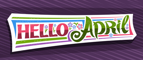 Wall Mural - Vector banner Hello April, white modern concept with curly calligraphic font, illustration of colorful flowers, decorative greeting card with unique swirly hand written lettering hello april on purple