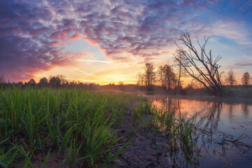 Fototapete - Spring nature landscape in the morning with colorful sky at dawn. Amazing nature on river shore in the sunrise. Vivid illuminated clouds in scenery nature
