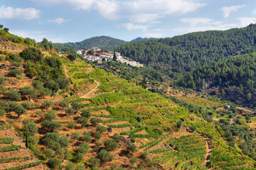 Sticker - Scenic view of Alto Douro Vinhateiro, Portugal