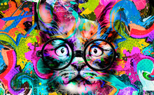 Cat And Colorful Background