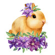 Spring bunny with purple flowers on white isolated background, watercolor illustration, digital poster