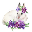 Spring bunny with purple flowers on white isolated background, watercolor illustration, digital poster