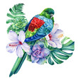 Poster parrots and hibiscus tropical flowers on isolated white background, watercolor painting, illustration