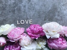 Peonies On A Grey Background Around The Word Love