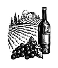 Canvas Print - wine ink sketch.