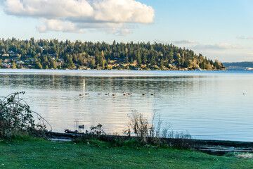 Wall Mural - Lake Island And Clouds 2