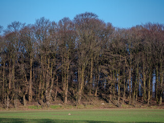 Wall Mural - German natural countryside