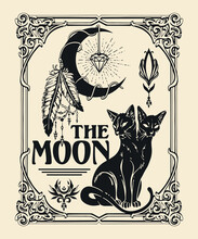 He Moon Tarot Card Inspired Illustration Included Moon Feathers And Two Headed Cat With Flourishes And Ornaments