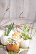  easter decor in a natural style. The eggshell is decorated with flowers and leaves. The composition uses product packaging, Zero waste and upcycling. birch branches, blur and selective focus