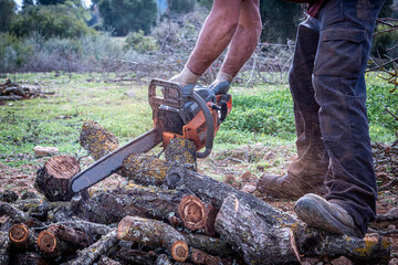 Person cutting logs of firewood for the winter with a chainsaw.