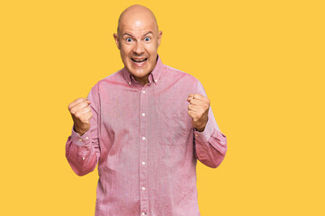 Wall Mural - Middle age bald man wearing casual clothes celebrating surprised and amazed for success with arms raised and open eyes. winner concept.