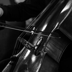 Poster -  Close-up of bow on cello strings in black and white