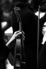 Poster -  Woman's hand holding violin in orchestra close-up in black and white 