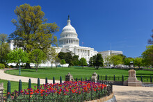 US Capitol Building And Spring - Washington D.C. United States Of America
