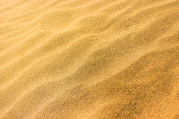  texture Sand on the beach as background and texture