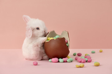 Wall Mural - Cute white Easter bunny rabbit with chocolate egg and colorful sweets on pink background