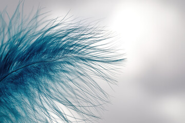  A light fluffy blue feather against the gray sky.