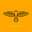 cooper hawk icon logo. ancient Egypt illustration of falcon bird collection. symbol of the power and eternal life. modern and minimalist style in monoline vector drawing.