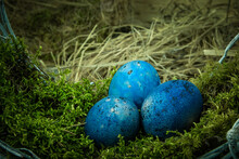 Nest With Easter Eggs. Happy Easter Greeting Card Template