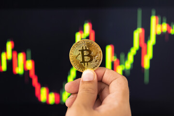 Wall Mural - Close up hand man holding golden Bitcoins mockup on stock chart background. Investment success Crypto currency Concept.