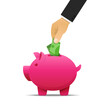 © momoforsale - Hand putting banknote into piggy bank isolated on white background,saving money concept.