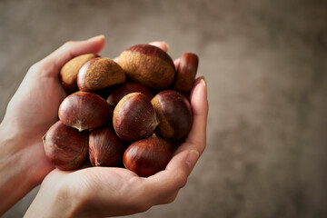 Sticker - Fresh chestnuts in hand on dark background