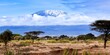 landscape with kilimandjaro mount
