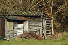 Small Old Wooden Shed Surrounded By Grass And Forest. Construction With Wood And Junk Materials. Roof With Asbestos.
